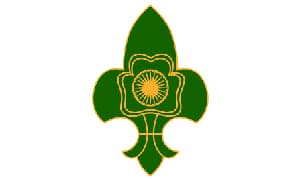 Scout